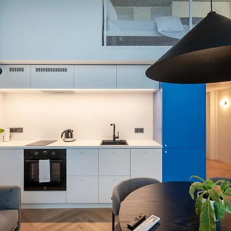 Paupys Lofts By Reside Baltic Apartment Vilnius