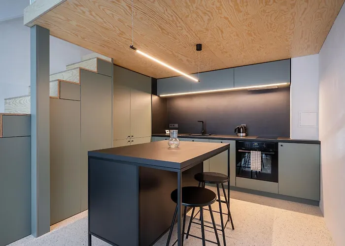 Apartman Paupys Lofts By Reside Baltic