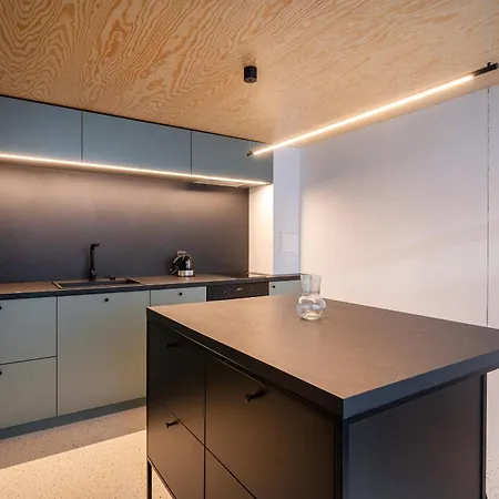 公寓 Paupys Lofts By Reside Baltic *